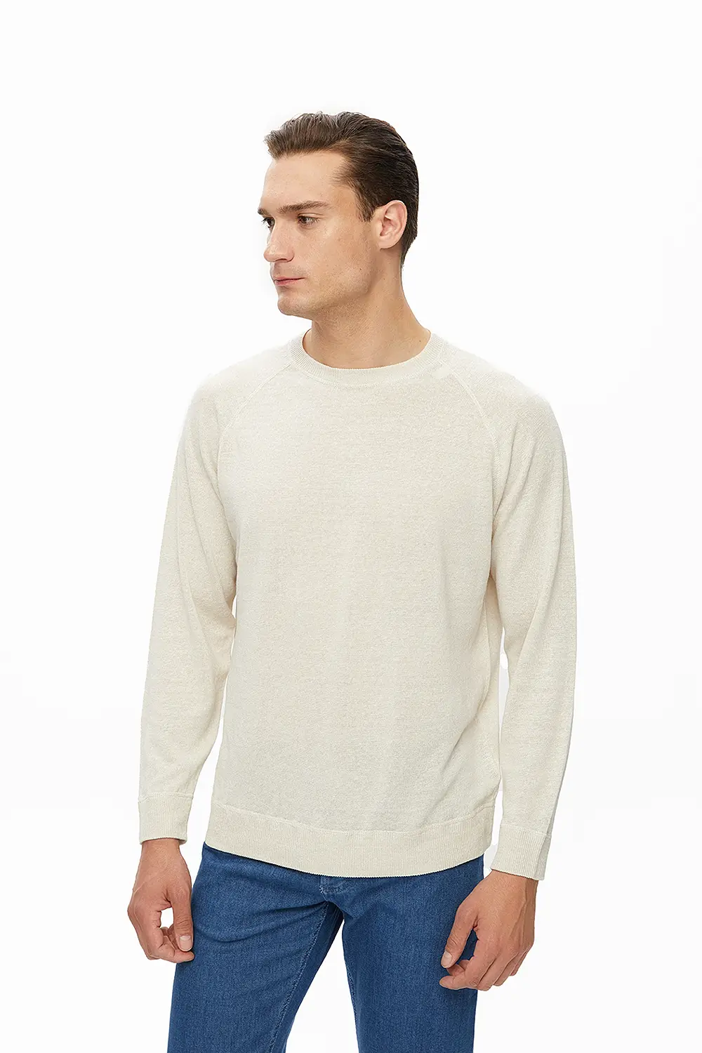 Sweatshirt 3